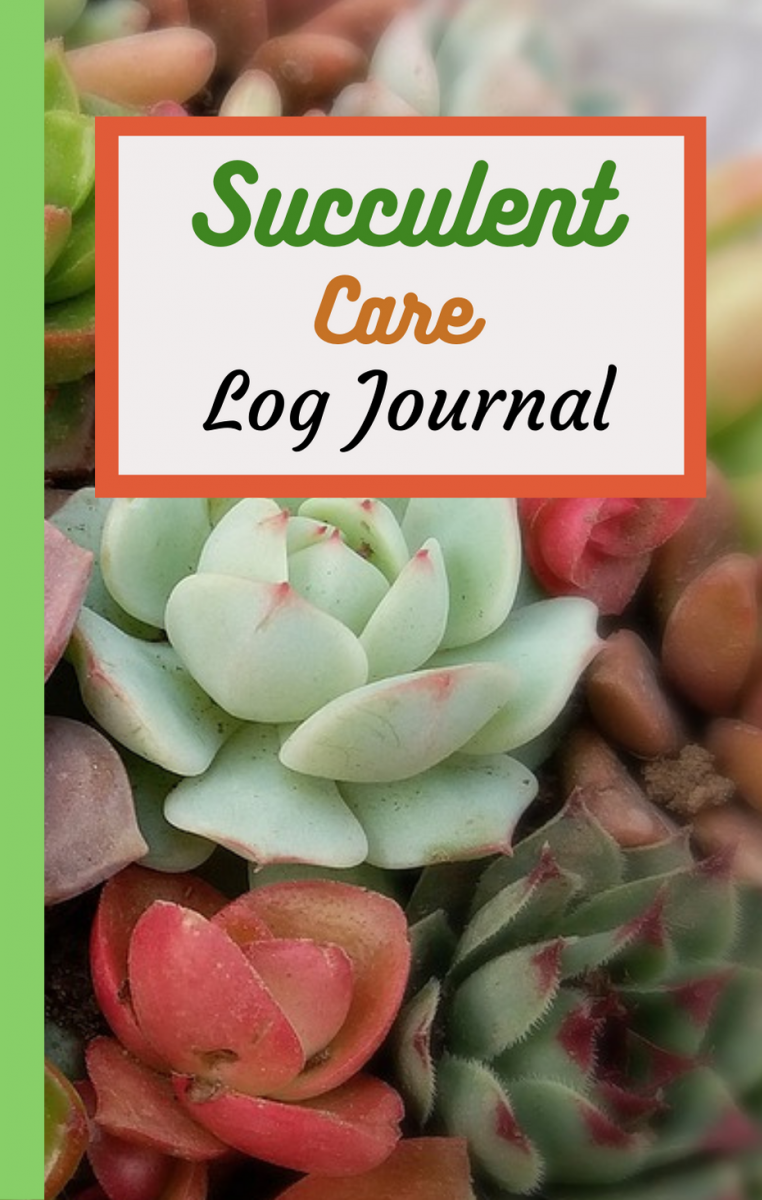 Succulent Journal Succulents Grower